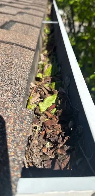 A gutter packed with leaves and debris on a Sacramento home before a guard install