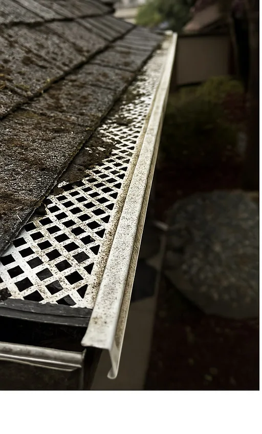 A dirty diamond-lattice gutter guard on a Sacramento home before cleaning and replacement
