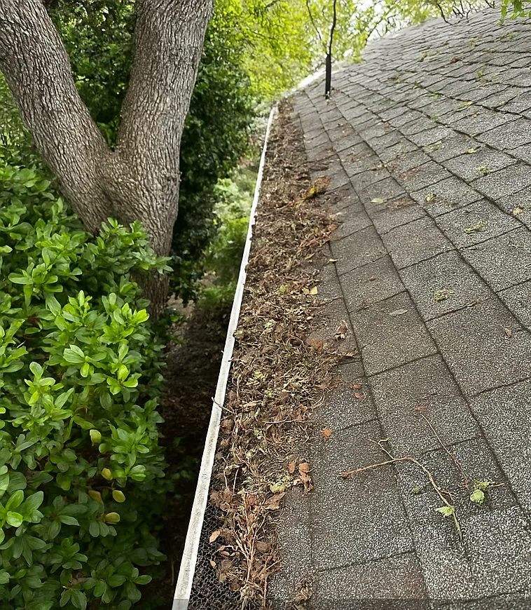 A leaf-clogged gutter in a shaded Sacramento side yard before a guard install