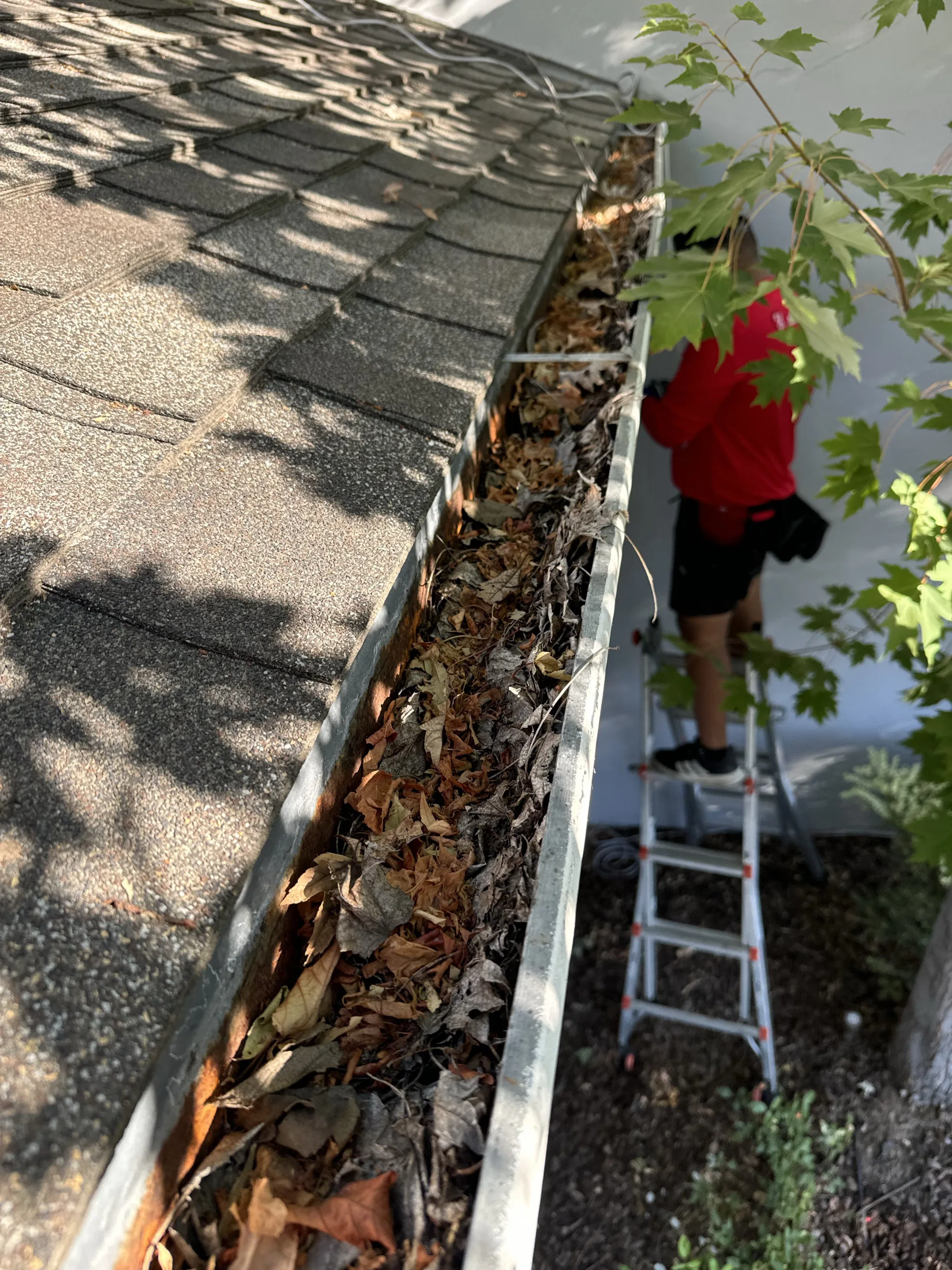 A Dunzo Gutters technician on a ladder clearing a debris-filled gutter on a Sacramento home