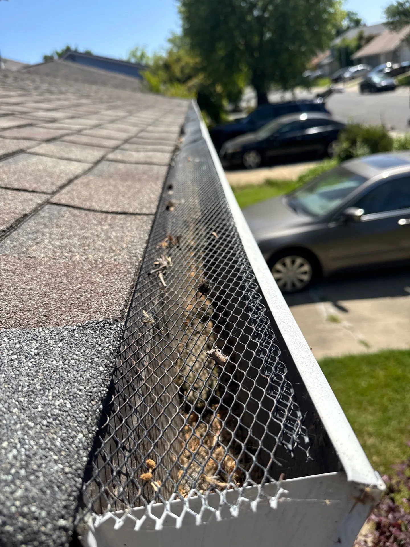 Leaves and seed pods resting on top of an installed micro-mesh gutter guard, kept out of the gutter itself