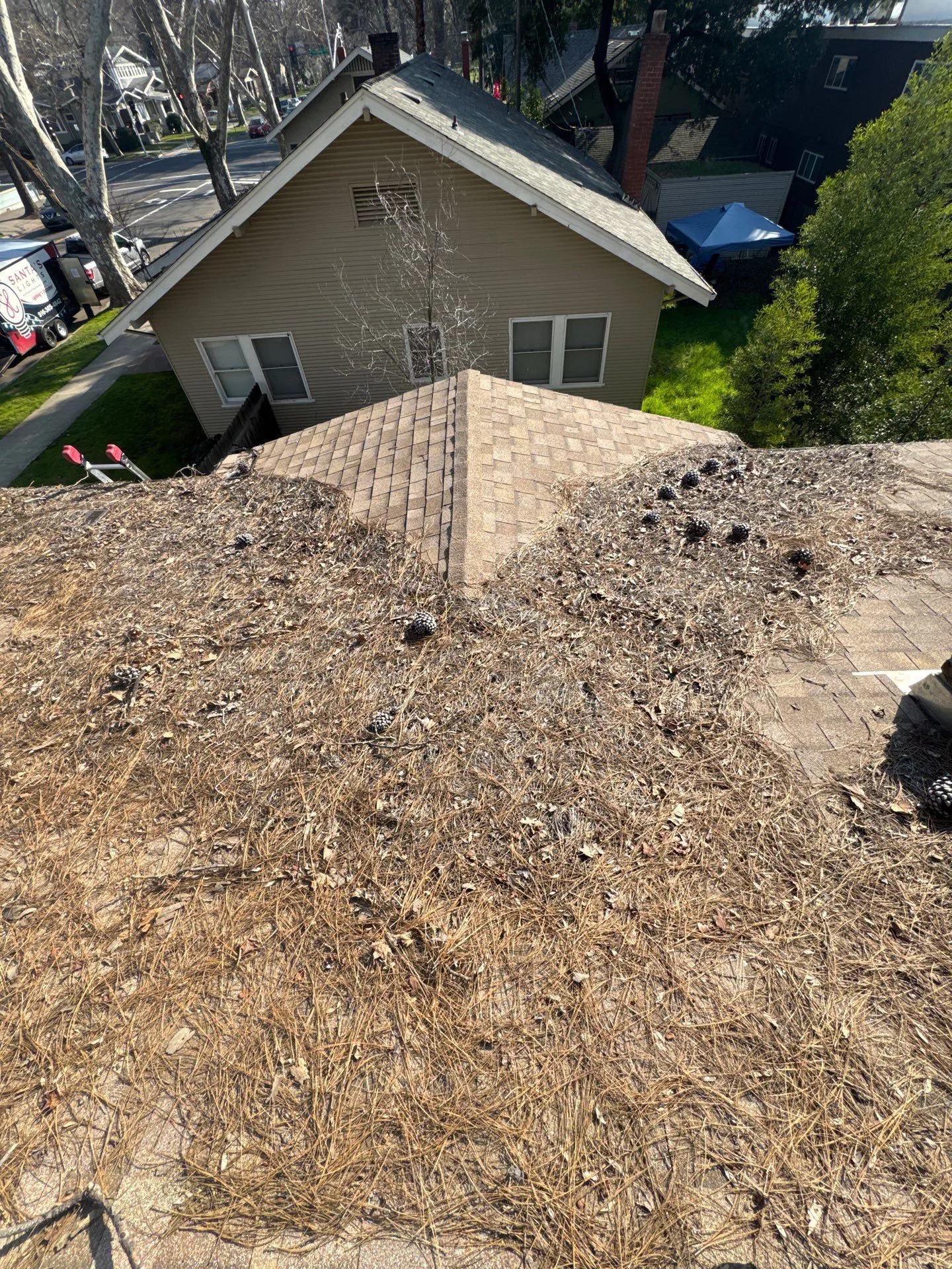 A Sacramento roof valley completely packed with pine needles, leaves, and pinecones before cleaning