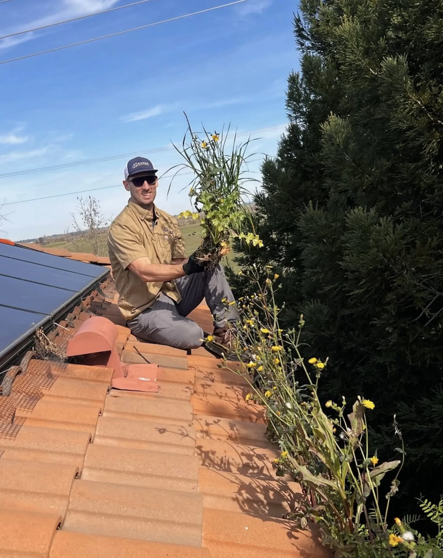 Dunzo Gutters technician clearing built-up debris and plant growth from a Sacramento roofline
