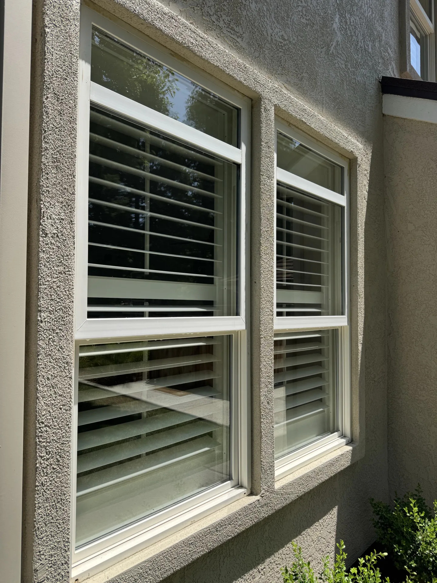 Clean windows with white plantation shutters visible through the glass on a Sacramento home