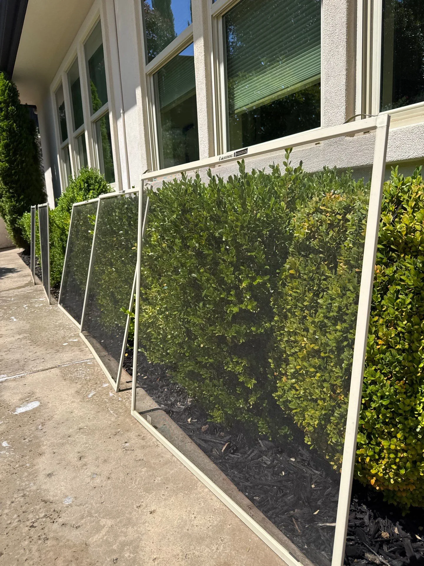 Clean window screens rehung on a Sacramento home