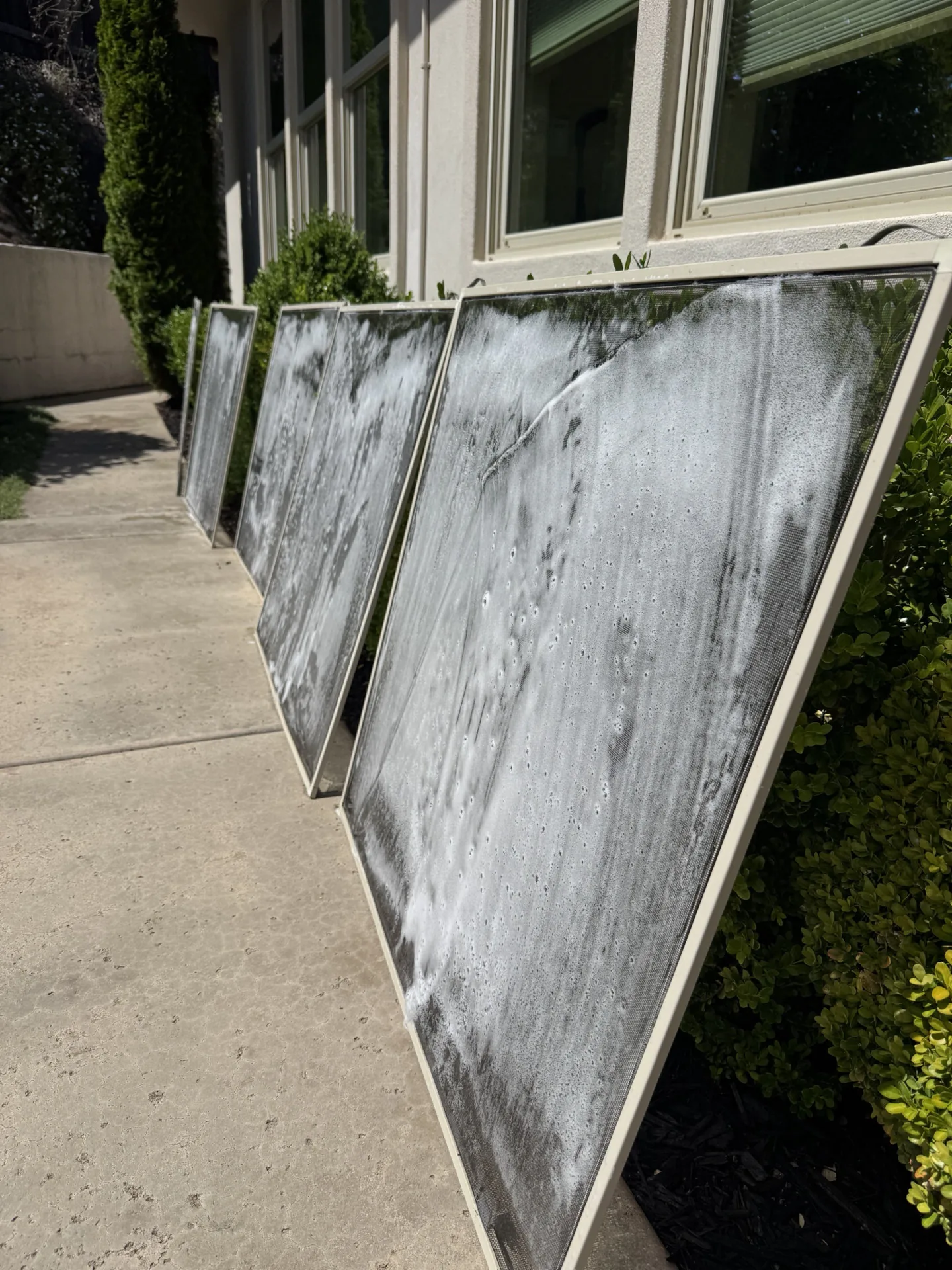 Window screens covered in soap during cleaning