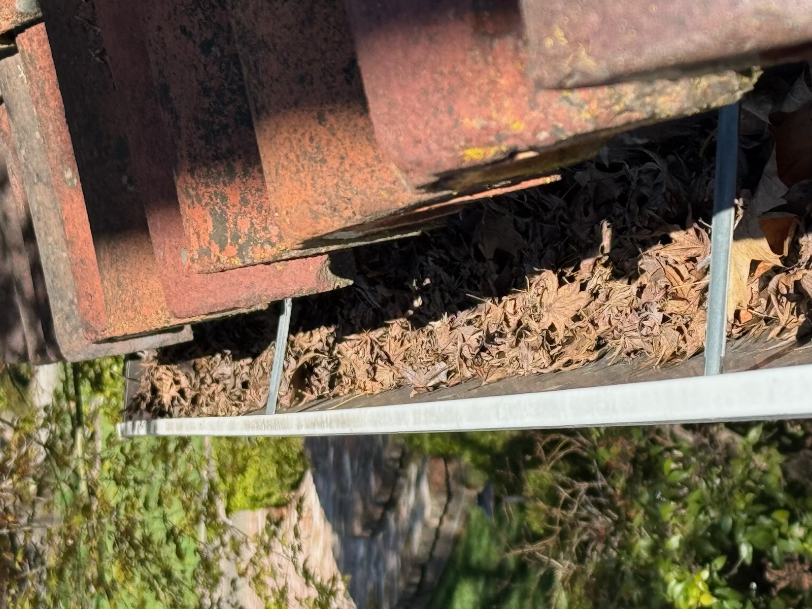 Gutters full of leaves and debris