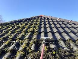 Roof moss before and after