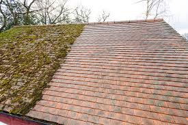 Will insurance help you cover the cost of moss removal